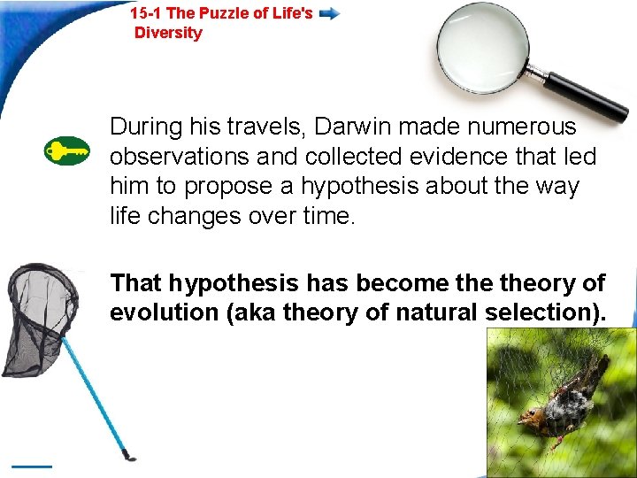 15 -1 The Puzzle of Life's Diversity During his travels, Darwin made numerous observations