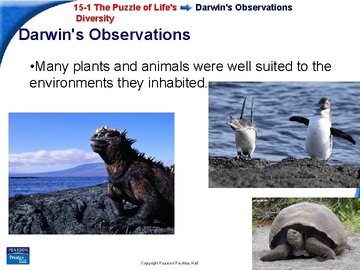 15 -1 The Puzzle of Life's Diversity Darwin's Observations • Many plants and animals