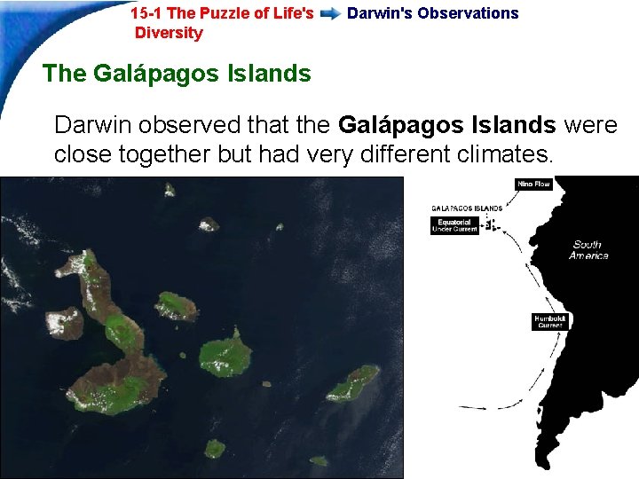 15 -1 The Puzzle of Life's Diversity Darwin's Observations The Galápagos Islands Darwin observed