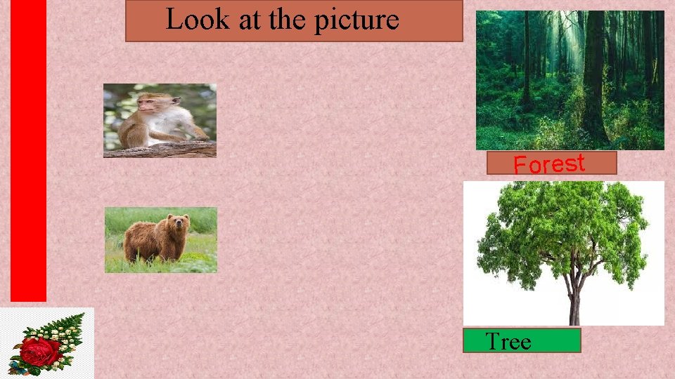 Look at the picture Forest Tree 