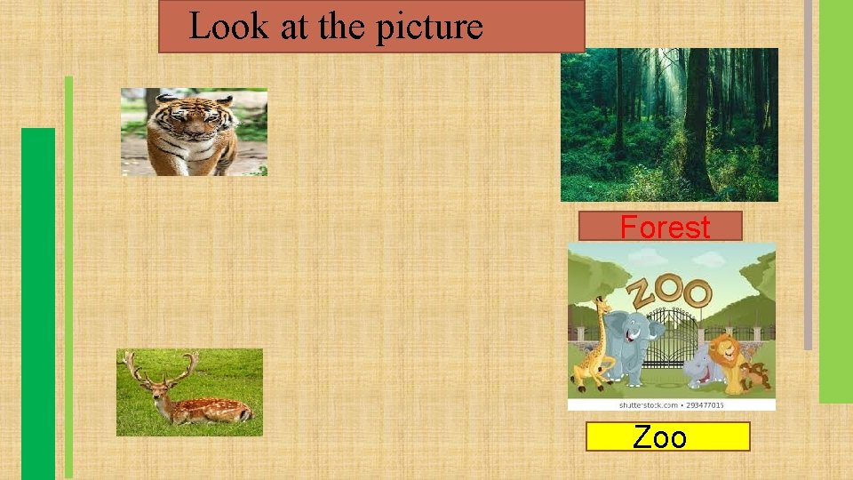 Look at the picture Forest Zoo 