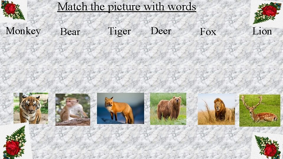 Match the picture with words Monkey Bear Tiger Deer Fox Lion 