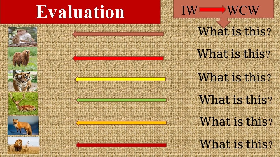 Evaluation IW WCW 