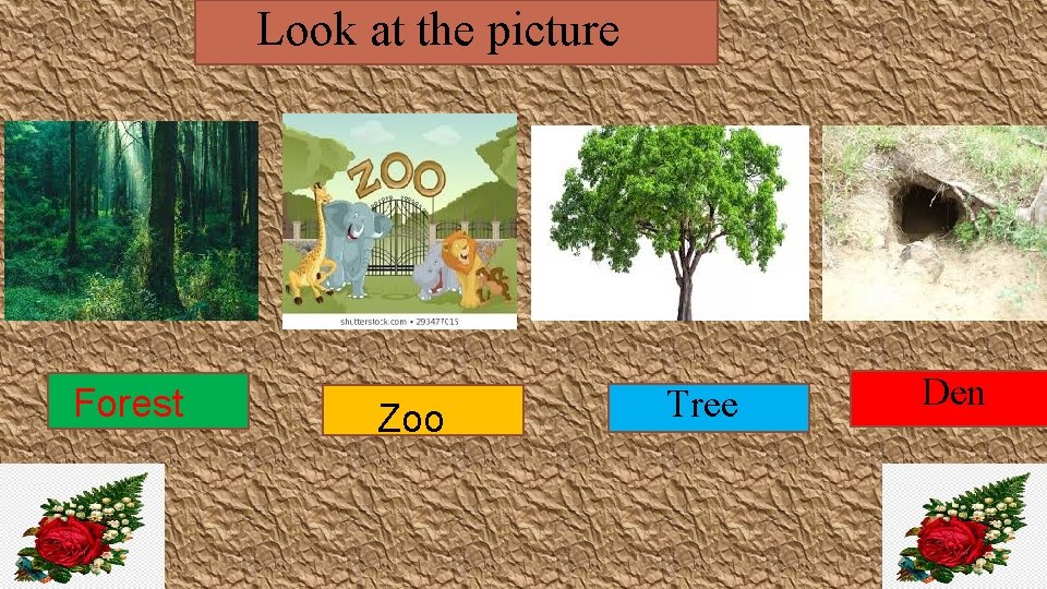 Look at the picture Forest Zoo Tree Den 