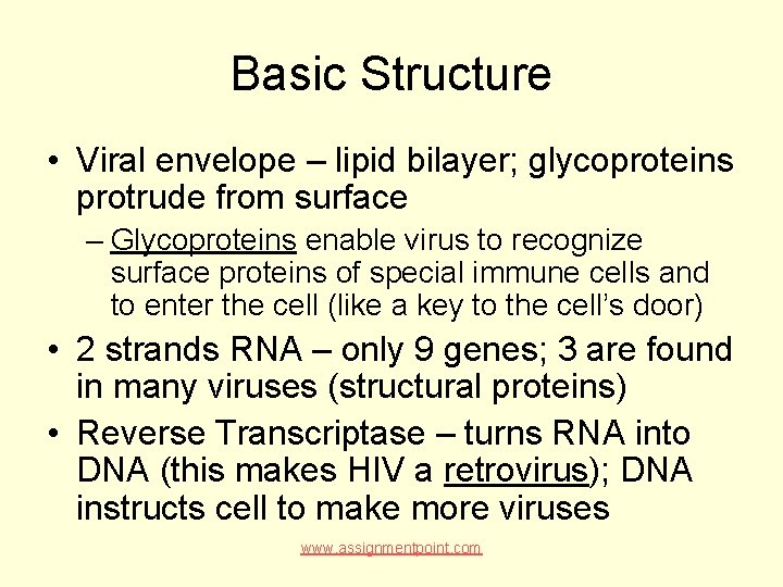 Basic Structure • Viral envelope – lipid bilayer; glycoproteins protrude from surface – Glycoproteins