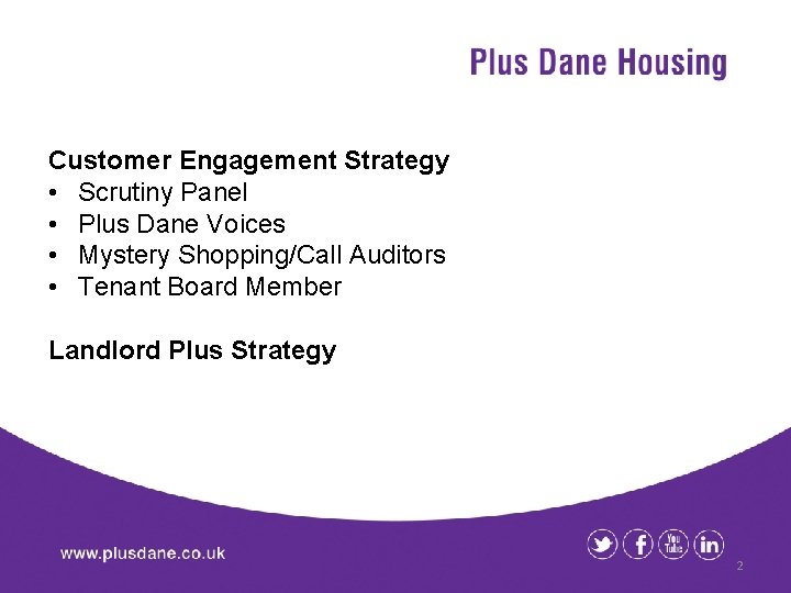 Customer Engagement Strategy • Scrutiny Panel • Plus Dane Voices • Mystery Shopping/Call Auditors