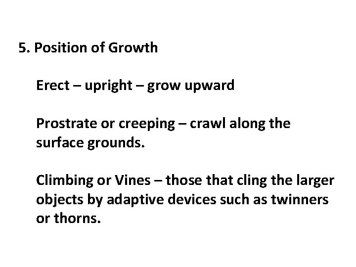 5. Position of Growth Erect – upright – grow upward Prostrate or creeping –