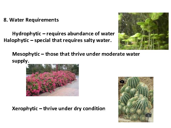 8. Water Requirements Hydrophytic – requires abundance of water Halophytic – special that requires