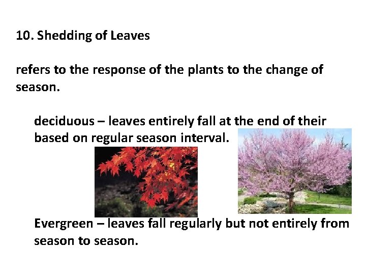 10. Shedding of Leaves refers to the response of the plants to the change