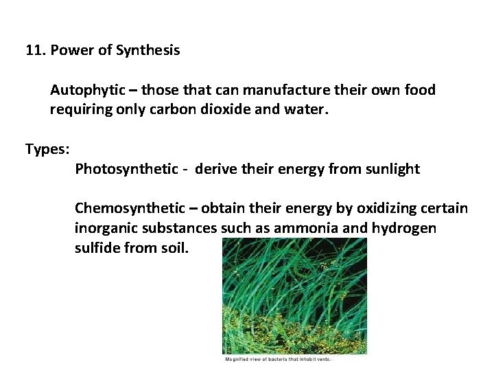 11. Power of Synthesis Autophytic – those that can manufacture their own food requiring
