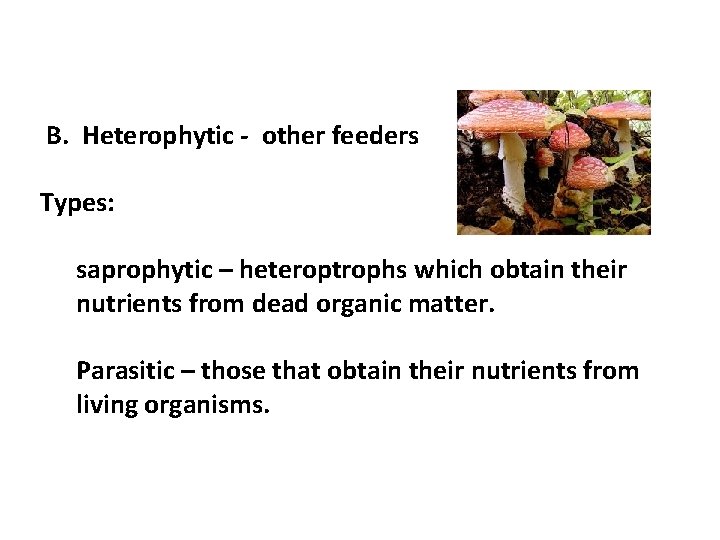 B. Heterophytic - other feeders Types: saprophytic – heteroptrophs which obtain their nutrients from