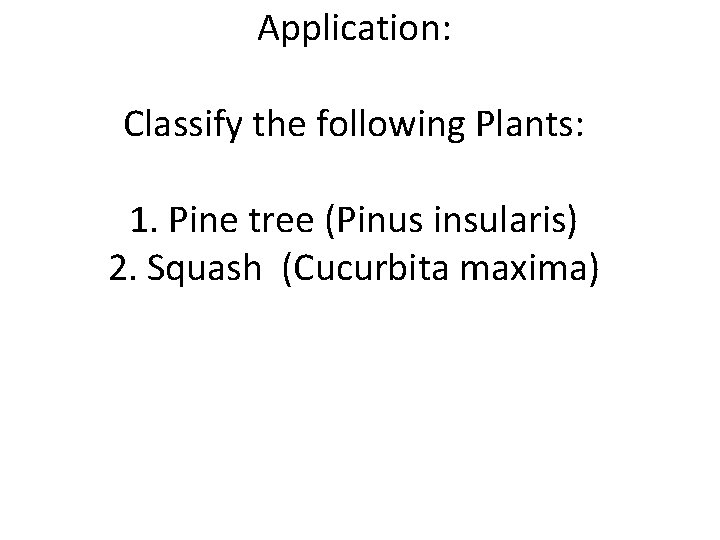 Application: Classify the following Plants: 1. Pine tree (Pinus insularis) 2. Squash (Cucurbita maxima)