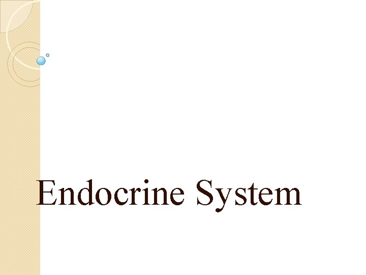 Endocrine System 