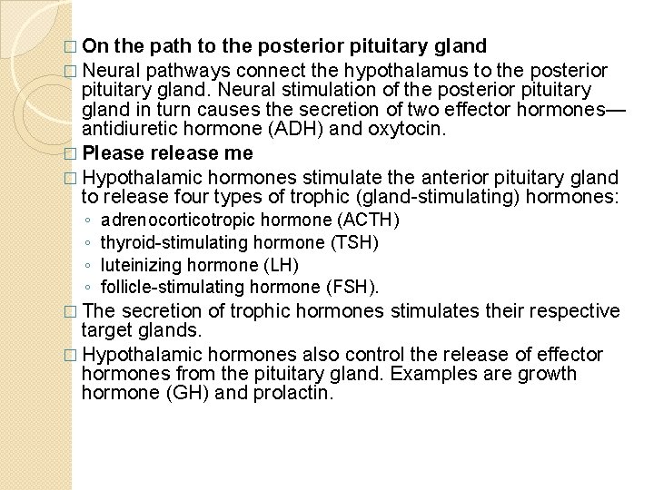 � On the path to the posterior pituitary gland � Neural pathways connect the