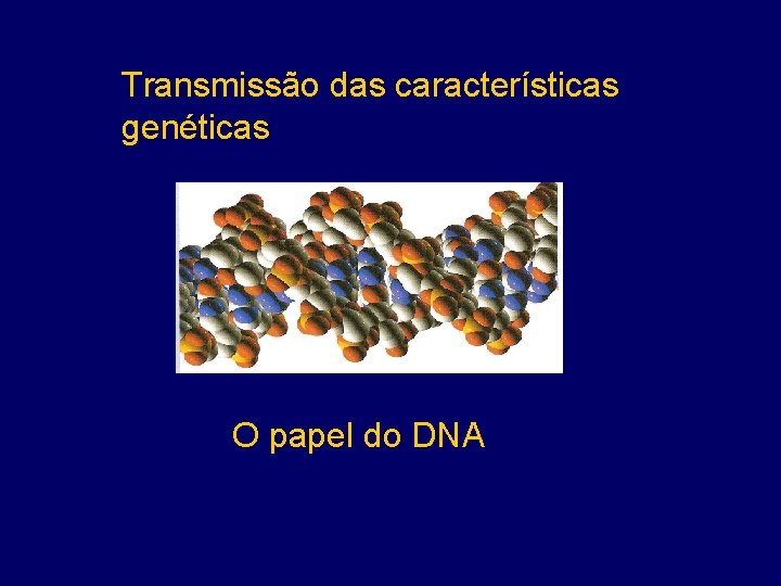 Transmissão das características genéticas O papel do DNA 