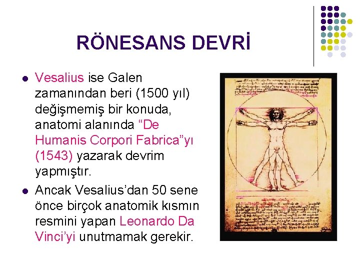 RÖNESANS DEVRİ l l Vesalius ise Galen zamanından beri (1500 yıl) değişmemiş bir konuda,