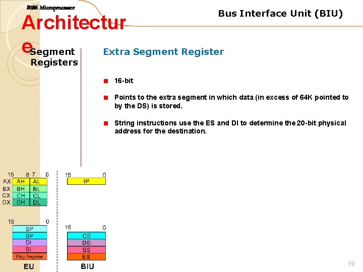 8086 Microprocessor Bus Interface Unit (BIU) Architectur e. Segment Extra Segment Registers 16 -bit