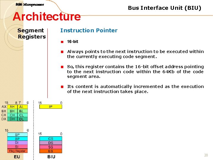 8086 Microprocessor Architecture Segment Registers Bus Interface Unit (BIU) Instruction Pointer 16 -bit Always