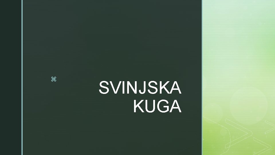 z SVINJSKA KUGA 