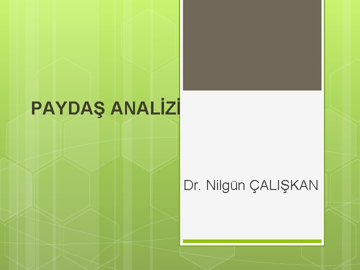 PAYDAŞ ANALİZİ Dr. Nilgün ÇALIŞKAN 