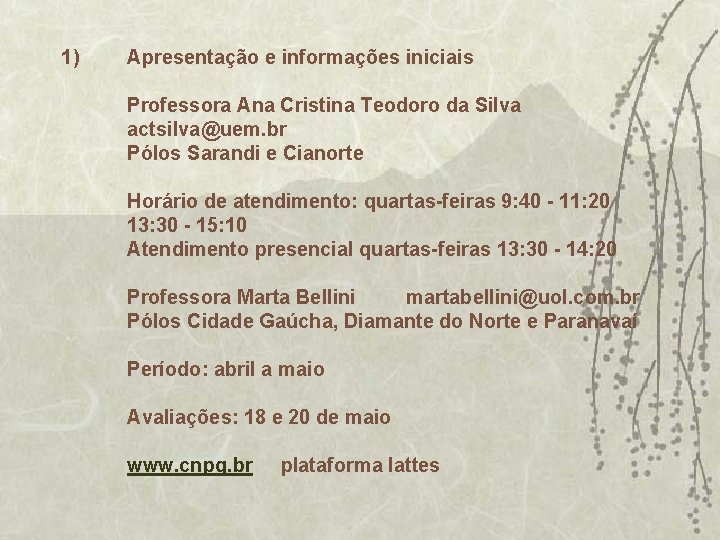 1) Apresentação e informações iniciais Professora Ana Cristina Teodoro da Silva actsilva@uem. br Pólos