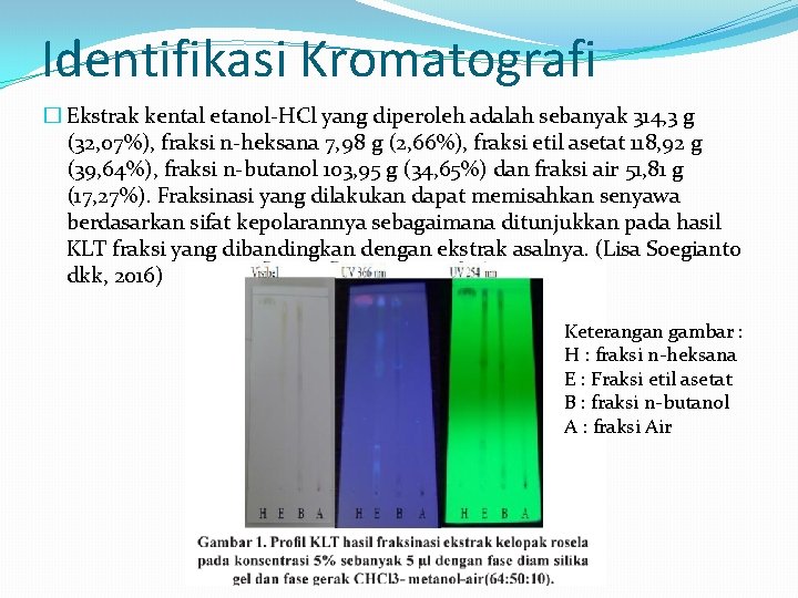 Identifikasi Kromatografi � Ekstrak kental etanol-HCl yang diperoleh adalah sebanyak 314, 3 g (32,