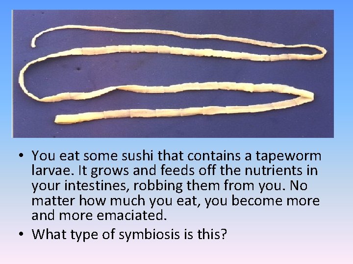  • You eat some sushi that contains a tapeworm larvae. It grows and