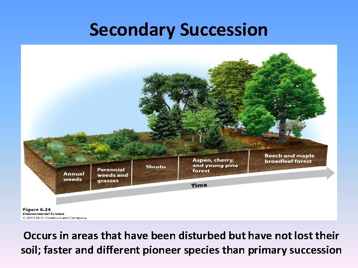 Secondary Succession Occurs in areas that have been disturbed but have not lost their