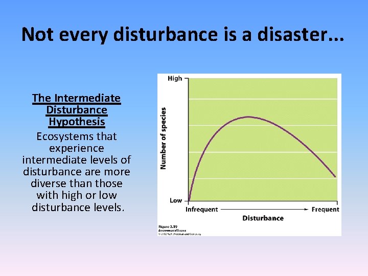 Not every disturbance is a disaster. . . The Intermediate Disturbance Hypothesis Ecosystems that