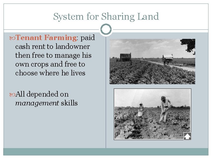 System for Sharing Land Tenant Farming: paid cash rent to landowner then free to