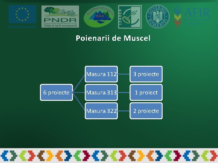 Poienarii de Muscel 6 proiecte Masura 112 3 proiecte Masura 313 1 proiect Masura