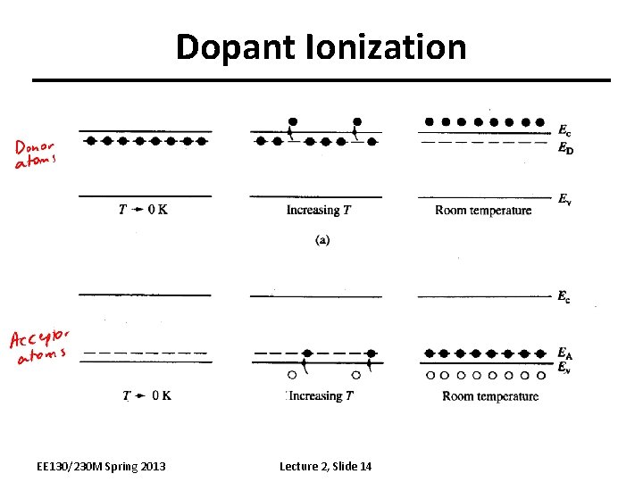 Dopant Ionization EE 130/230 M Spring 2013 Lecture 2, Slide 14 