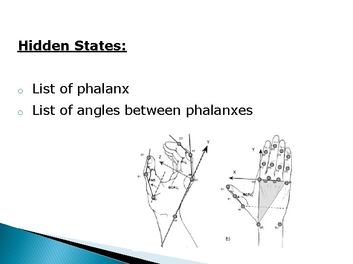 Hidden States: o List of phalanx o List of angles between phalanxes 