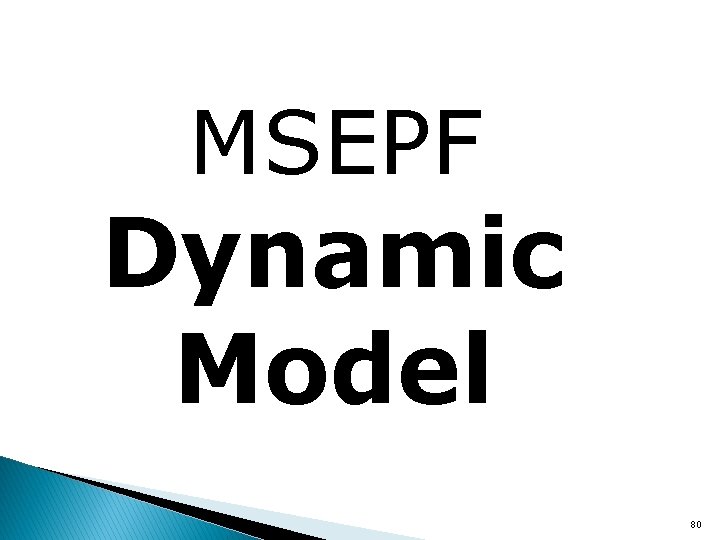 MSEPF Dynamic Model 80 