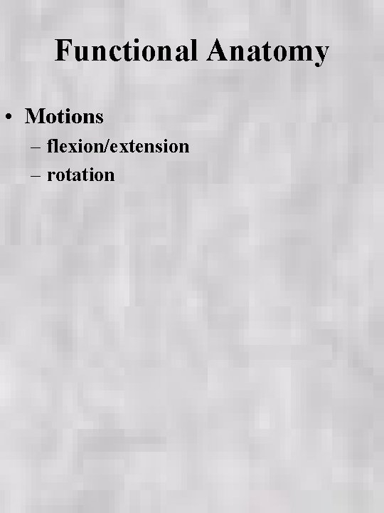 Functional Anatomy • Motions – flexion/extension – rotation 