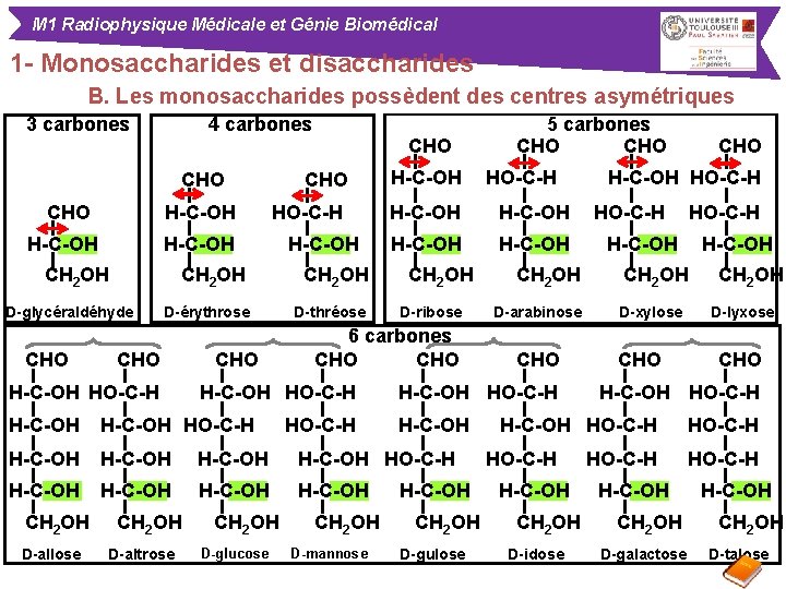 M 1 Radiophysique Médicale et Génie Biomédical 1 - Monosaccharides et disaccharides B. Les