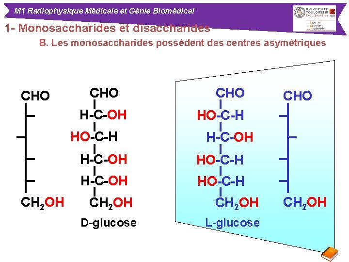 M 1 Radiophysique Médicale et Génie Biomédical 1 - Monosaccharides et disaccharides B. Les