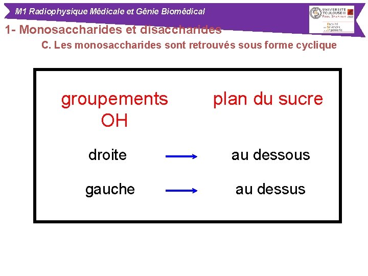 M 1 Radiophysique Médicale et Génie Biomédical 1 - Monosaccharides et disaccharides C. Les