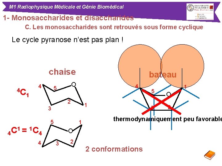 M 1 Radiophysique Médicale et Génie Biomédical 1 - Monosaccharides et disaccharides C. Les
