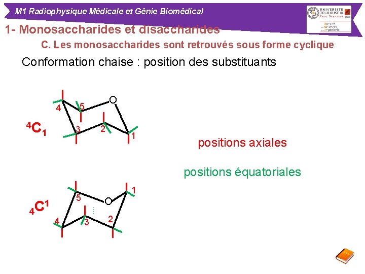 M 1 Radiophysique Médicale et Génie Biomédical 1 - Monosaccharides et disaccharides C. Les