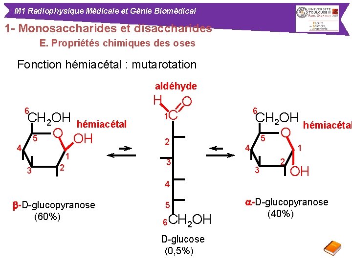 M 1 Radiophysique Médicale et Génie Biomédical 1 - Monosaccharides et disaccharides E. Propriétés