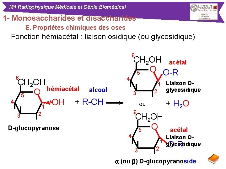 M 1 Radiophysique Médicale et Génie Biomédical 1 - Monosaccharides et disaccharides E. Propriétés