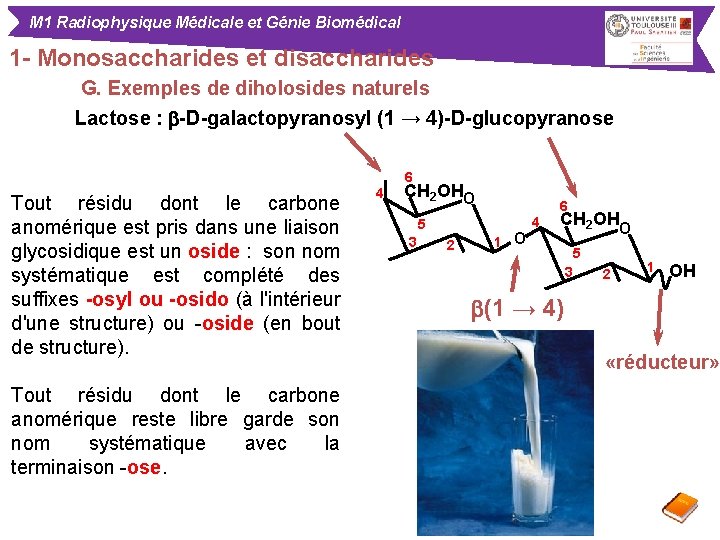 M 1 Radiophysique Médicale et Génie Biomédical 1 - Monosaccharides et disaccharides G. Exemples