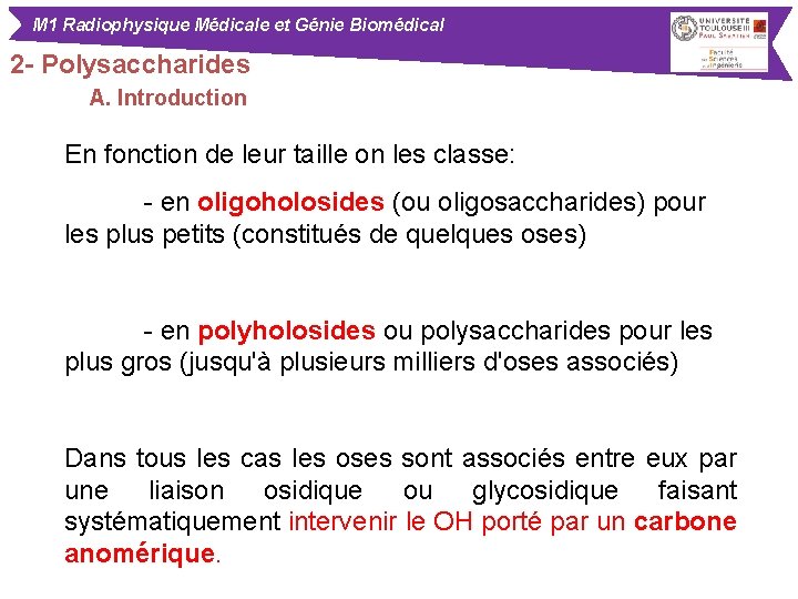 M 1 Radiophysique Médicale et Génie Biomédical 2 - Polysaccharides A. Introduction En fonction