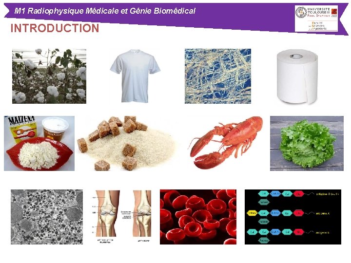 M 1 Radiophysique Médicale et Génie Biomédical INTRODUCTION 