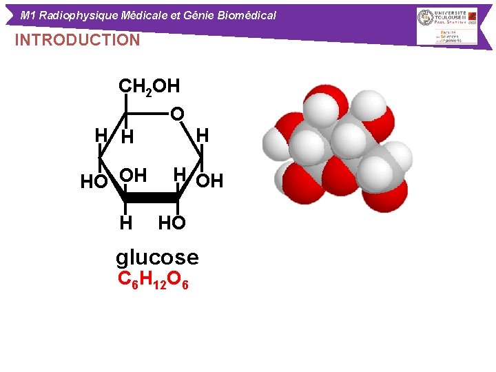 M 1 Radiophysique Médicale et Génie Biomédical INTRODUCTION CH 2 OH O H HO
