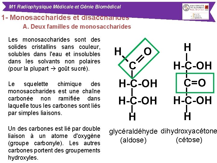 M 1 Radiophysique Médicale et Génie Biomédical 1 - Monosaccharides et disaccharides A. Deux
