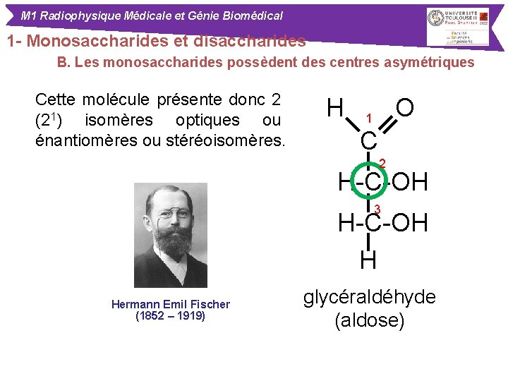M 1 Radiophysique Médicale et Génie Biomédical 1 - Monosaccharides et disaccharides B. Les