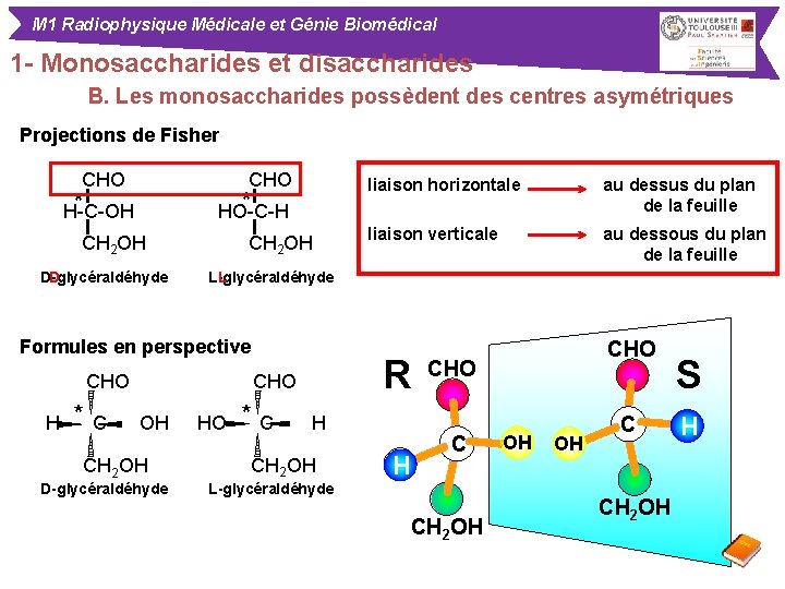 M 1 Radiophysique Médicale et Génie Biomédical 1 - Monosaccharides et disaccharides B. Les