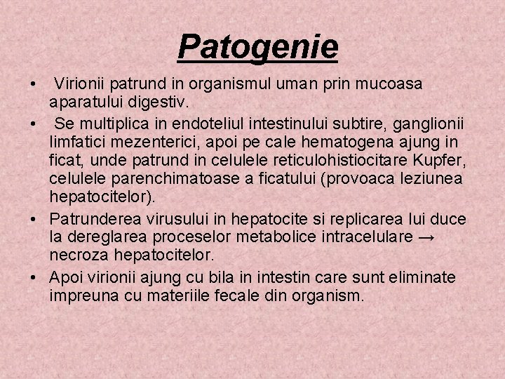 Patogenie • Virionii patrund in organismul uman prin mucoasa aparatului digestiv. • Se multiplica